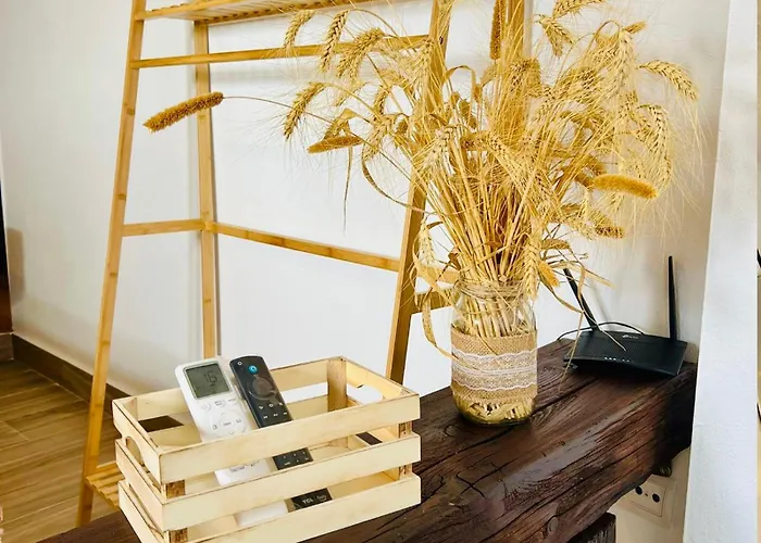 Apartment Loft Alegria De Jerez Jerez de la Frontera